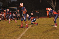 Enlarge photo 43