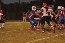 Enlarge photo 51