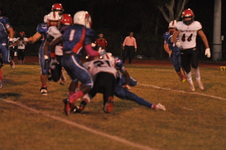 Enlarge photo 73