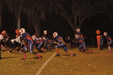 Enlarge photo 93