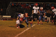 Enlarge photo 116