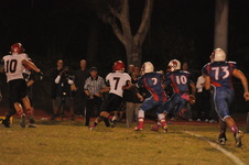 Enlarge photo 135