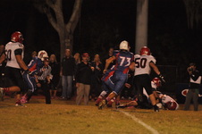 Enlarge photo 137