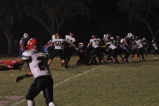 Enlarge photo 212