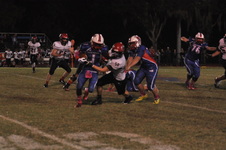 Enlarge photo 257