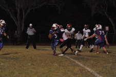 Enlarge photo 433