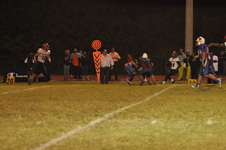 Enlarge photo 513