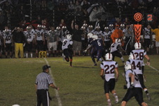 Enlarge photo 48