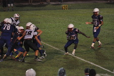Enlarge photo 60