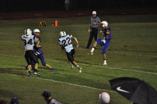Enlarge photo 70