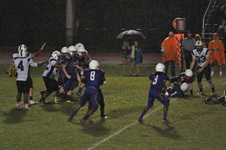 Enlarge photo 78