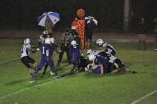 Enlarge photo 96