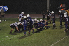 Enlarge photo 99