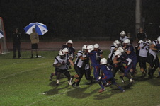 Enlarge photo 102