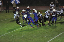 Enlarge photo 105