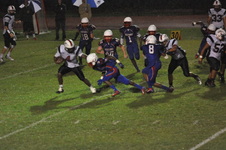 Enlarge photo 106