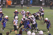 Enlarge photo 137
