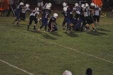 Enlarge photo 215