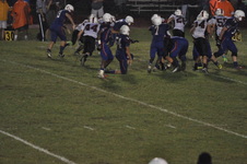 Enlarge photo 216