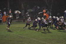 Enlarge photo 228