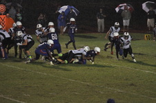 Enlarge photo 230