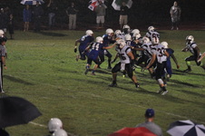 Enlarge photo 261