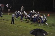 Enlarge photo 272