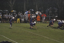 Enlarge photo 310