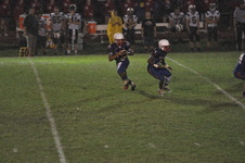 Enlarge photo 327