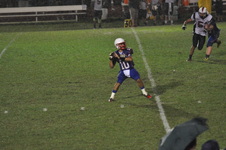 Enlarge photo 333