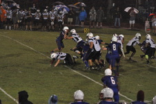 Enlarge photo 349