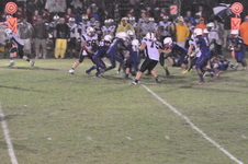 Enlarge photo 373