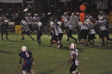 Enlarge photo 390