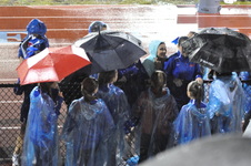 Enlarge photo 435