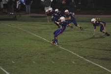 Enlarge photo 442