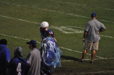 Enlarge photo 447