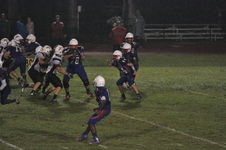 Enlarge photo 478