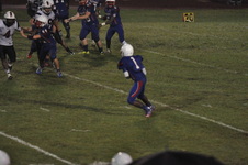Enlarge photo 483