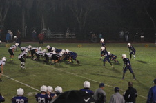 Enlarge photo 511