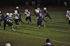 Enlarge photo 561