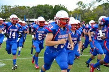 Enlarge photo 44