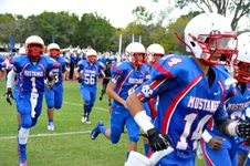 Enlarge photo 46