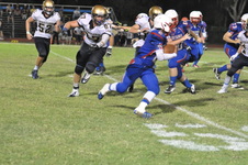 Enlarge photo 61