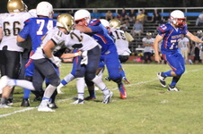 Enlarge photo 79