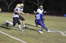 Enlarge photo 113