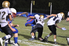 Enlarge photo 115