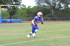 Enlarge photo 133