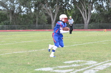 Enlarge photo 139