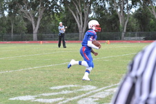 Enlarge photo 141