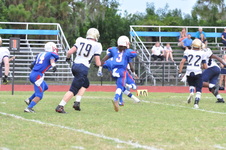 Enlarge photo 157